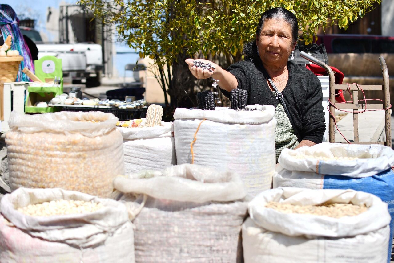 Productores huamantlecos ofrecen sus semillas para la próxima temporada de siembra